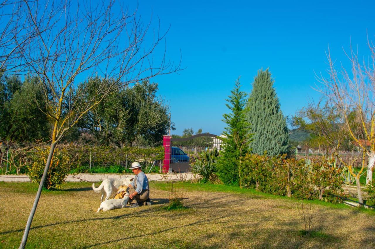 Loukas Farm House Áyios Kírikos Exteriör bild