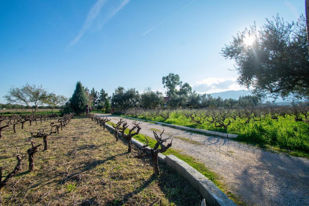 Loukas Farm House Áyios Kírikos Exteriör bild