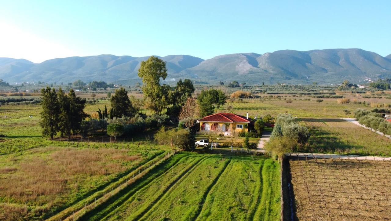 Loukas Farm House Áyios Kírikos Exteriör bild