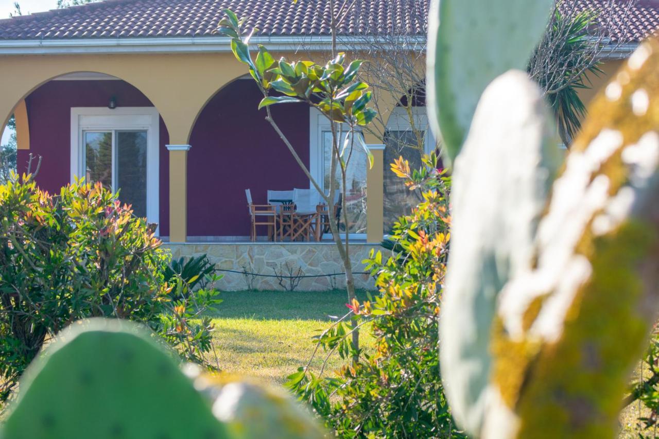 Loukas Farm House Áyios Kírikos Exteriör bild